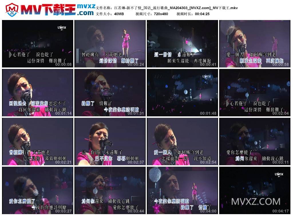 江若琳-新不了情_国语_流行歌曲_MA204303